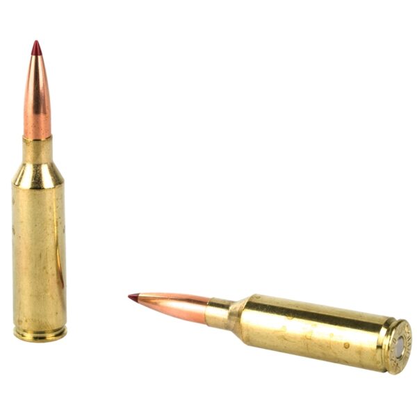 Hornady Precision Hunter Of 500 Rounds - Image 2
