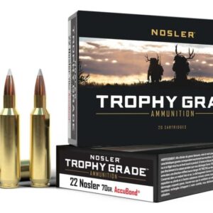 Nosler Trophy Grade .22 Nosler 70 Grain Jacketed Soft Point Brass Cased 500 rounds