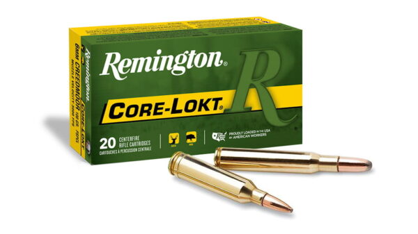 Remington Core-Lokt .450 Bushmaster 300 Grain Core-Lokt Pointed Soft Point  500 rounds